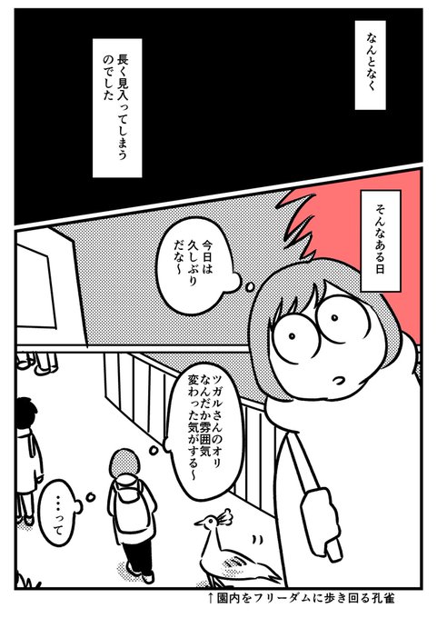【短編漫画】ツガルさんと一緒② 