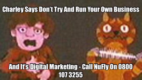 NuFly_SM's tweet photo. Meoooow-owww-meow 

#socialmediamarketing #digitalmarketing #onlinemarketing #watford #uk https://t.co/B2nMAYQ8dT