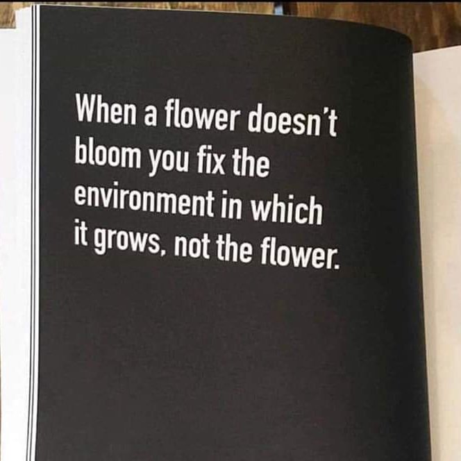 newlife_foster's tweet photo. 👇 Likewise, when a child or young person behave in a way that is not expected. Can you provide that stability, security and opportunity to them to build a better future? Kindly get in touch with us on 01213598811
#fosteringchildren #Newlifefostering #connectbeforeyoucorrect https://t.co/VPrg3RfM2u