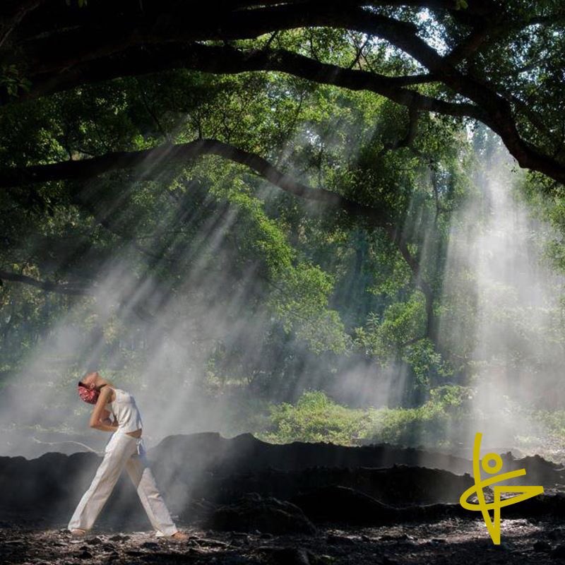 Doğal nefes ile hayatınızı değiştirmeye hazır mısınız? ☺️❤️

🔺Detaylı bilgi için hemen ara; 0232 503 72 32

#hemdemhayat #dogalnefes #accessbars #homeopati #tedavi #dogalnefes #scio #reiki #humandesign #accessbars #cocukyogasi #yoga #gulsokak #izmir #hayat #life #enerji