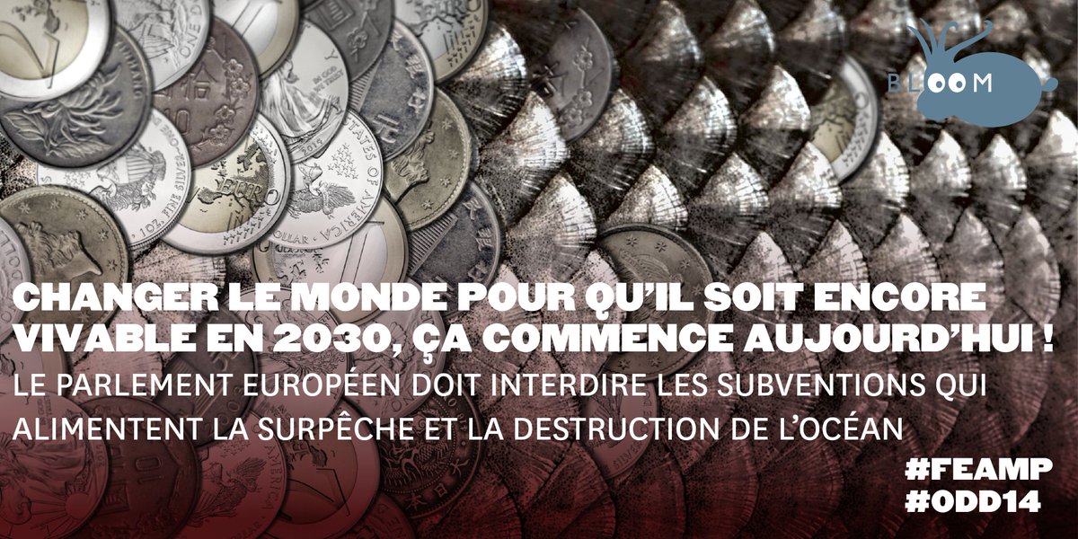 BLOOM Association tweet media