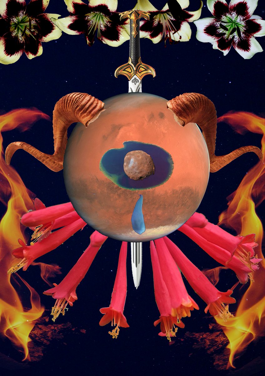 moocyte's tweet photo. Zodiac chart based commission for @chtjlsbgtr
An #aries heavy chart with a soft #cancer center
#commission #collage #zodiac #zodiacchart #natalchart https://t.co/DXvI1C97L4