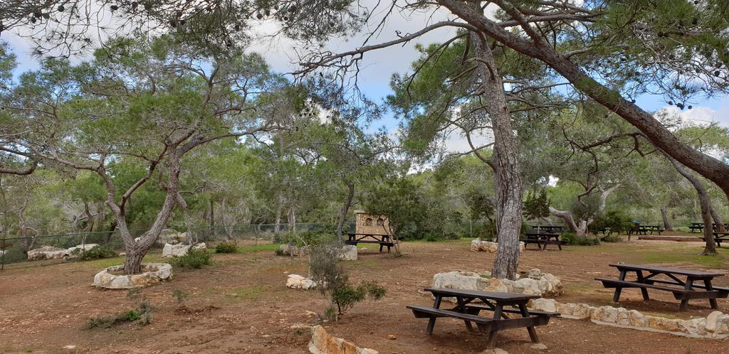 NcbisC's tweet photo. It's our last full day in Cyprus! 😪
Thankfully we have an action packed day in the forest to do woodland science 👍🌲🌳🌲🌼🦠🦟🌷⚘🍀🌻🌲🌲🌲 https://t.co/8A3eUO8dH5