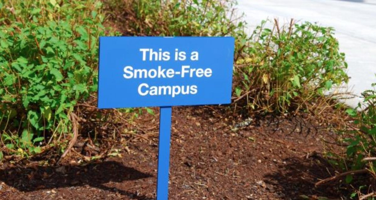 tcddublin's tweet photo. From today, Trinity College Dublin will officially become a #TobaccoFree campus. Read more here: https://t.co/ZiAN0iePK3 #NationalNoSmokingDay #TobaccoFreeTCD #HealthyCampus https://t.co/AptaOun5Wn