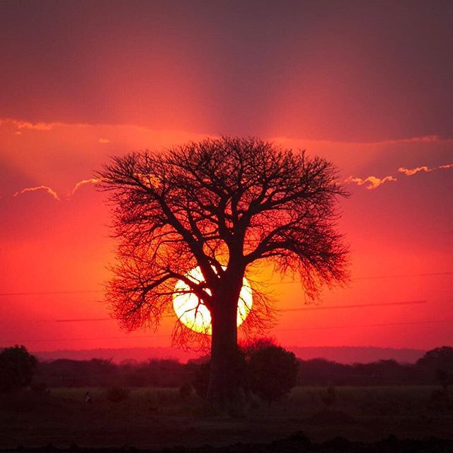 Malawi Places tweet media