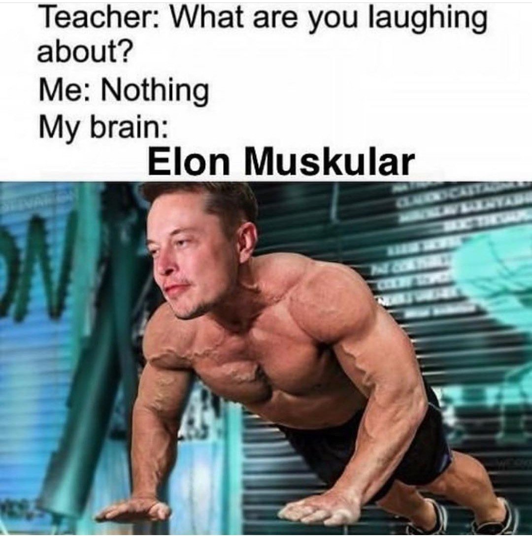 Lucas thies tweet media