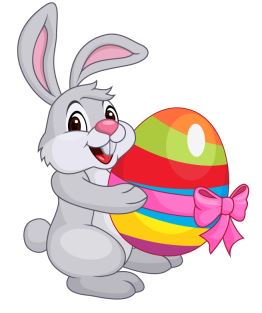 Albion North Primary tweet media