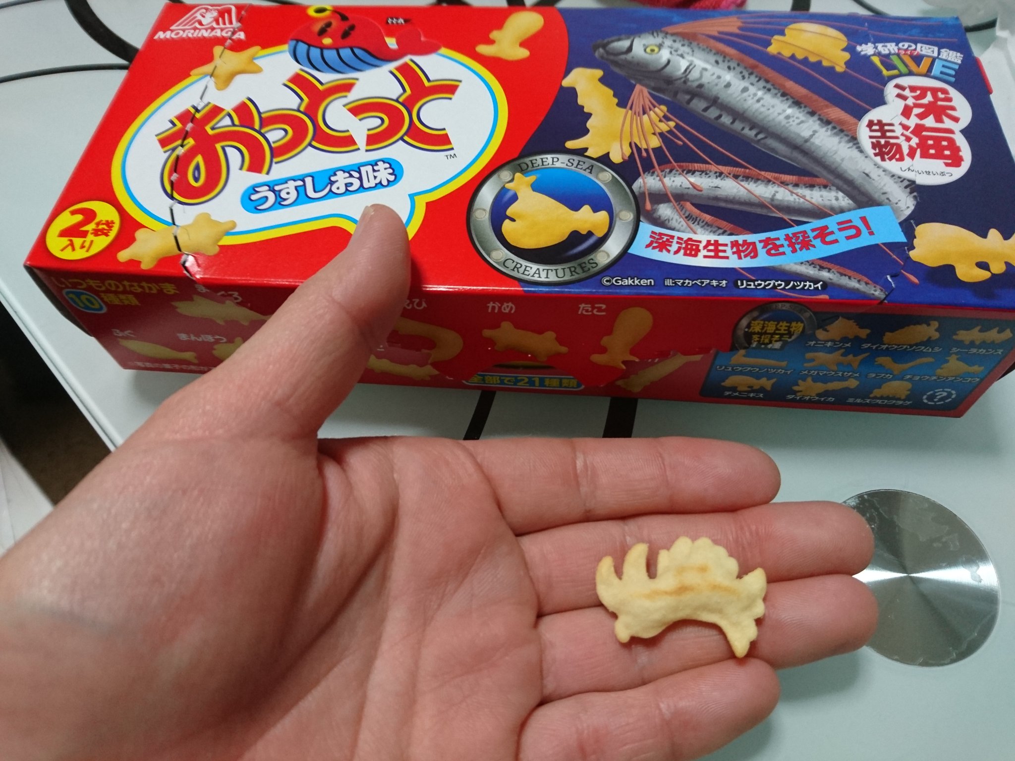 魔鬼 おっとっとの深海魚が売ってたから買ったんだけど謎生物が出てきたぞ これはなんぞや W 魔鬼 おっとっとの深海魚が売ってたから買ったんだけど謎生物が出てきたぞ これはなんぞや W
