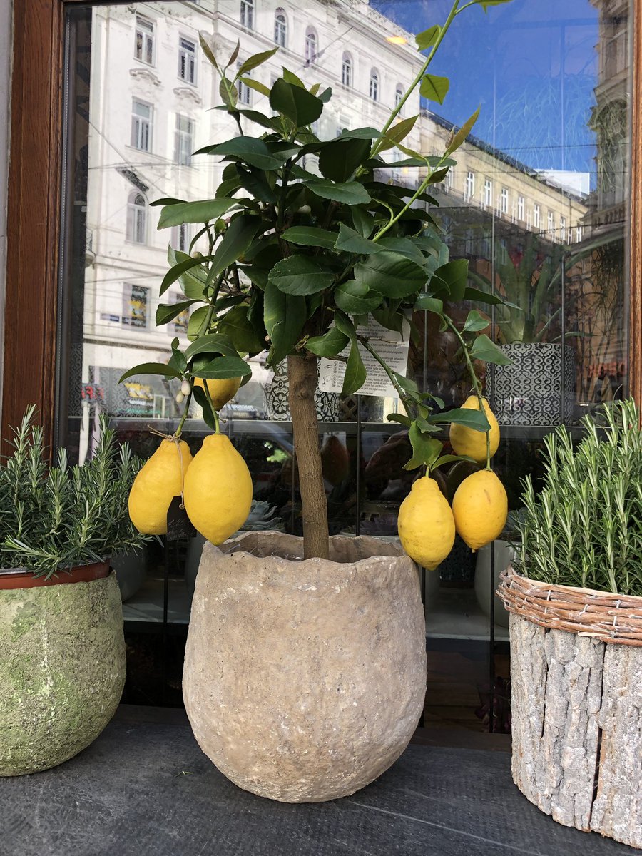 Marwan M. Kraidy @mkraidy.bsky.social tweet media