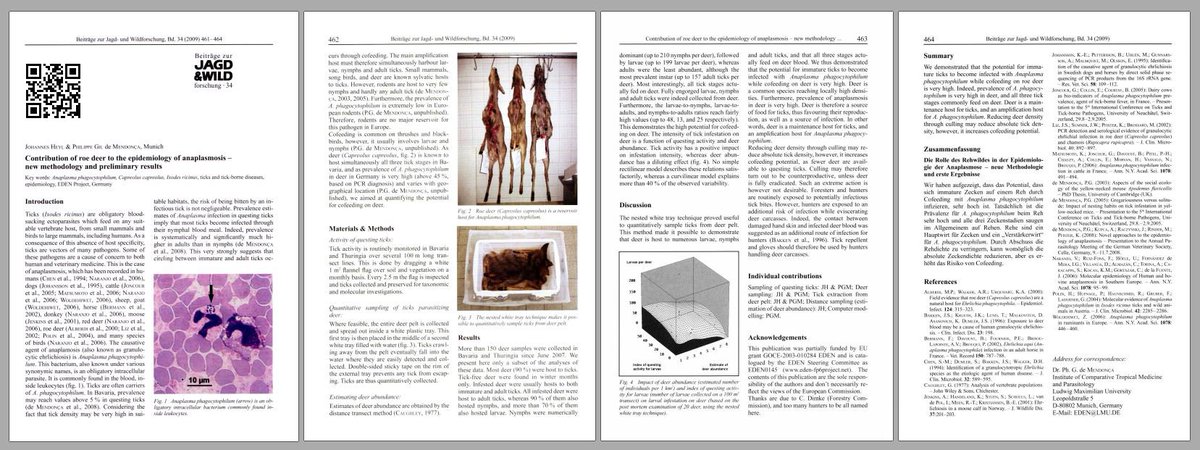 Web Service Mining: Application to Discoveries of Biological Pathways