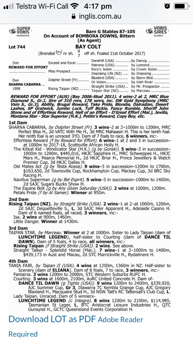 Yargi Racing tweet media