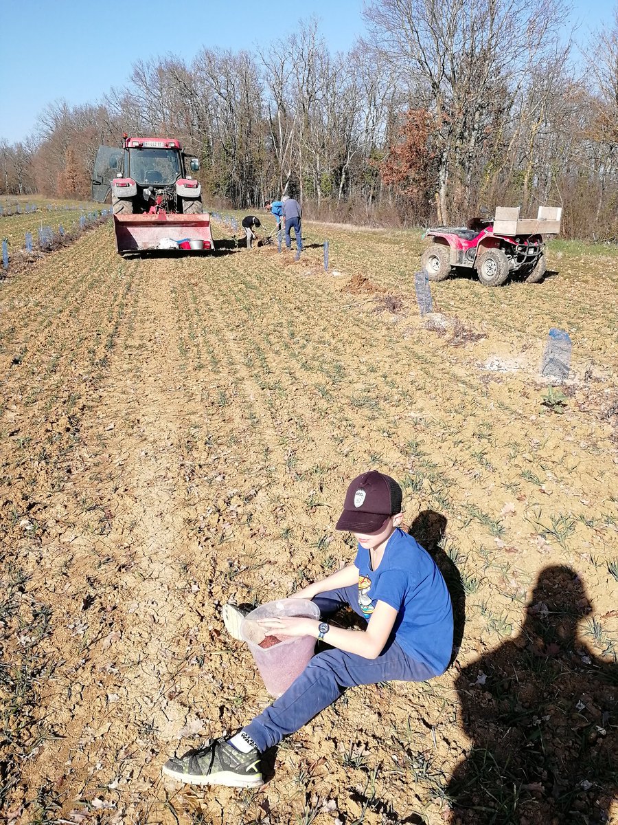 stephjegu's tweet photo. Quand ton double actif de mari a décidé d'occuper toute la famille, retraité et animaux compris, et que tu as la meilleure place, dans le tracteur ! #noisettes #iworkoutside #kokiteam #koki https://t.co/aagxHpmJIx