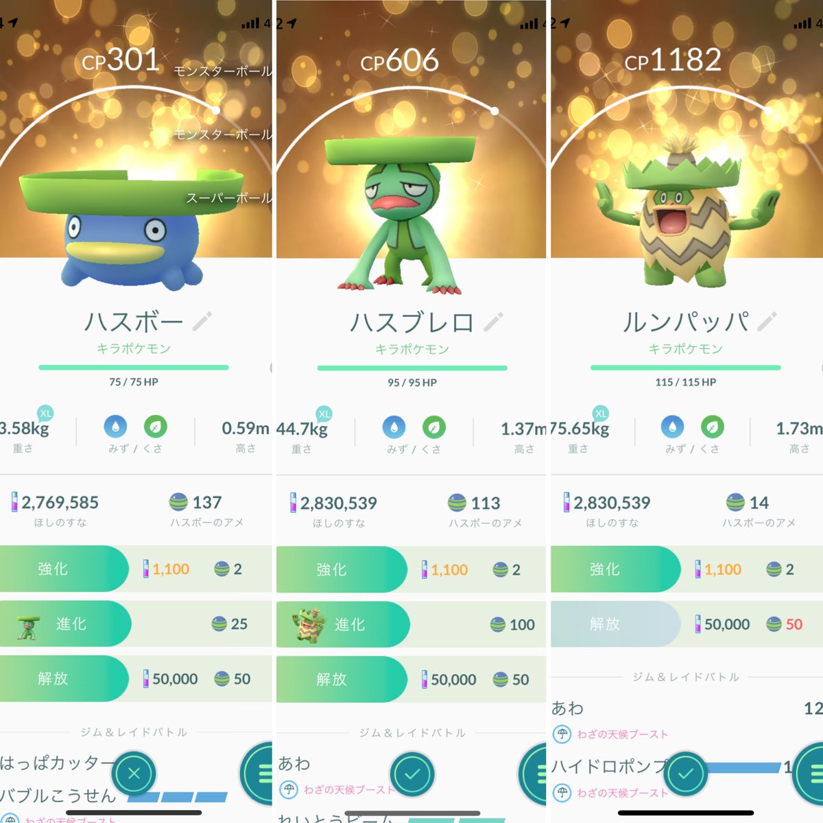 0313randi Pgo 今日の キラポケモン その2 ハスボー ようやくget 並べて見るとハスボーがやたら大きく見えるな ハスブレロ ルンパッパ Pokemongo ポケモンgo T Co Fn1567ybgz Twitter