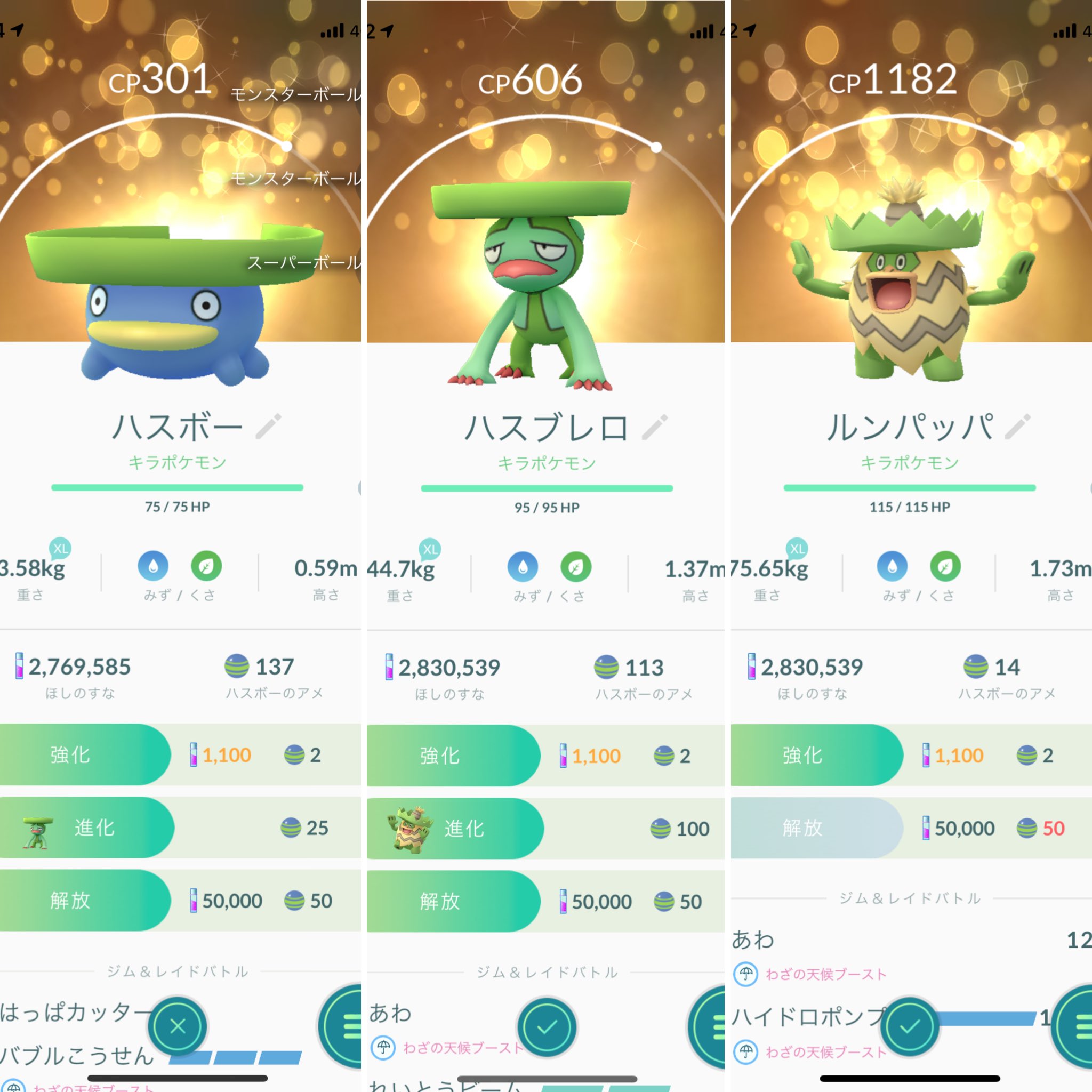 0313randi Pgo 今日の キラポケモン その2 ハスボー ようやくget 並べて見るとハスボーがやたら大きく見えるな ハスブレロ ルンパッパ Pokemongo ポケモンgo T Co Fn1567ybgz Twitter