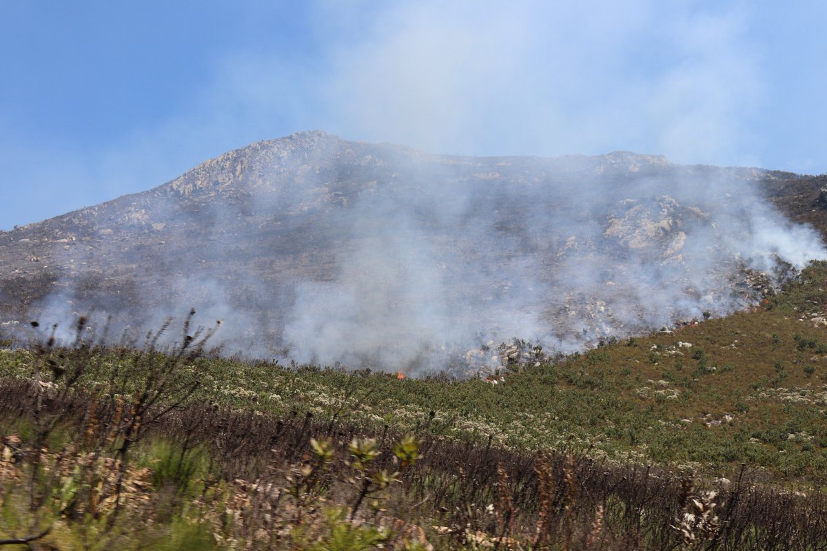 Media Update: Franschhoek Fire
22 Feb 2019 - 13:00
The Cape Winelands District Municipality’s Fire Services together with their partners, <a href="/CapeNature1/">CapeNature</a> and <a href="/chairpersonsfpa/">Winelands FPA</a> continue to fight the fire that has been burning since Monday, 18 February 2019.