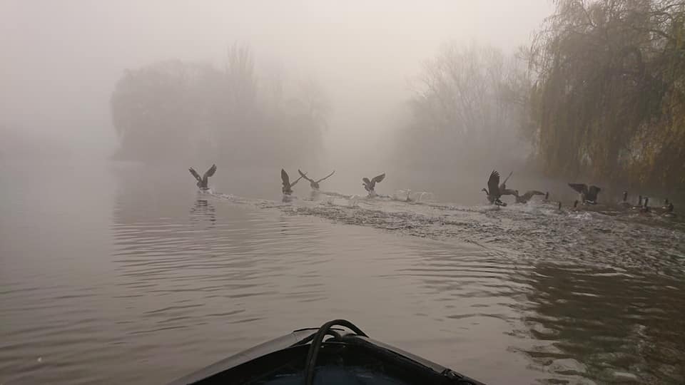 ACEnvSol's tweet image. We love this photograph - @ACEnvSol enjoying a misty morning out sediment sampling on Markeaton Lake, Derby just before Christmas on behalf of @EbsfordAquaOps. Thankyou to @MURLACUK for supplying the boat!  🚣‍♂️🦆🌾🦢