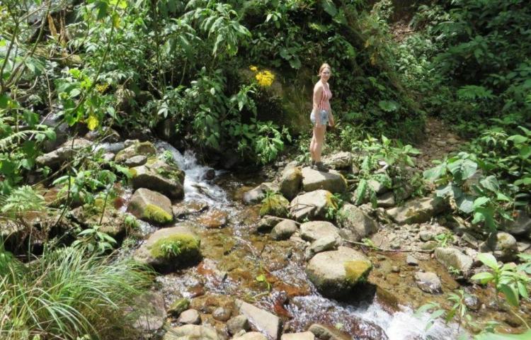 On y retrouve aussi énormément de photos, dont environ presque une centaine de photos entre 1h du matin et 4h du matin.Ci-dessous, la dernière photo normale qui a été prise, aux alentours de 15h... Rien de suspect