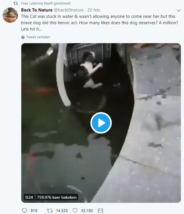 EliMellemans's tweet image. Is Henry is with you, Yves? #atitagain