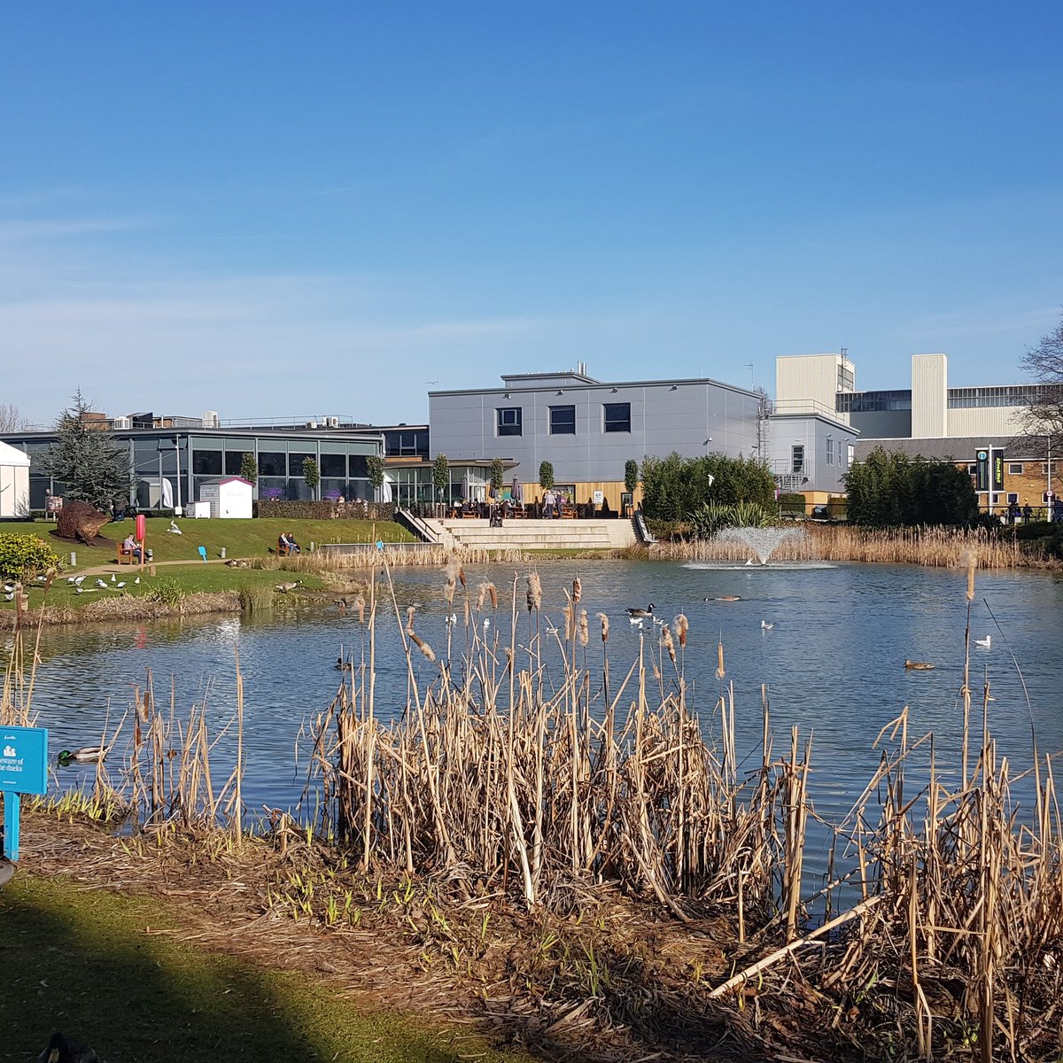 That sky! 😊☀️ #ITSAPARKLIFE #noordinarybusinesspark