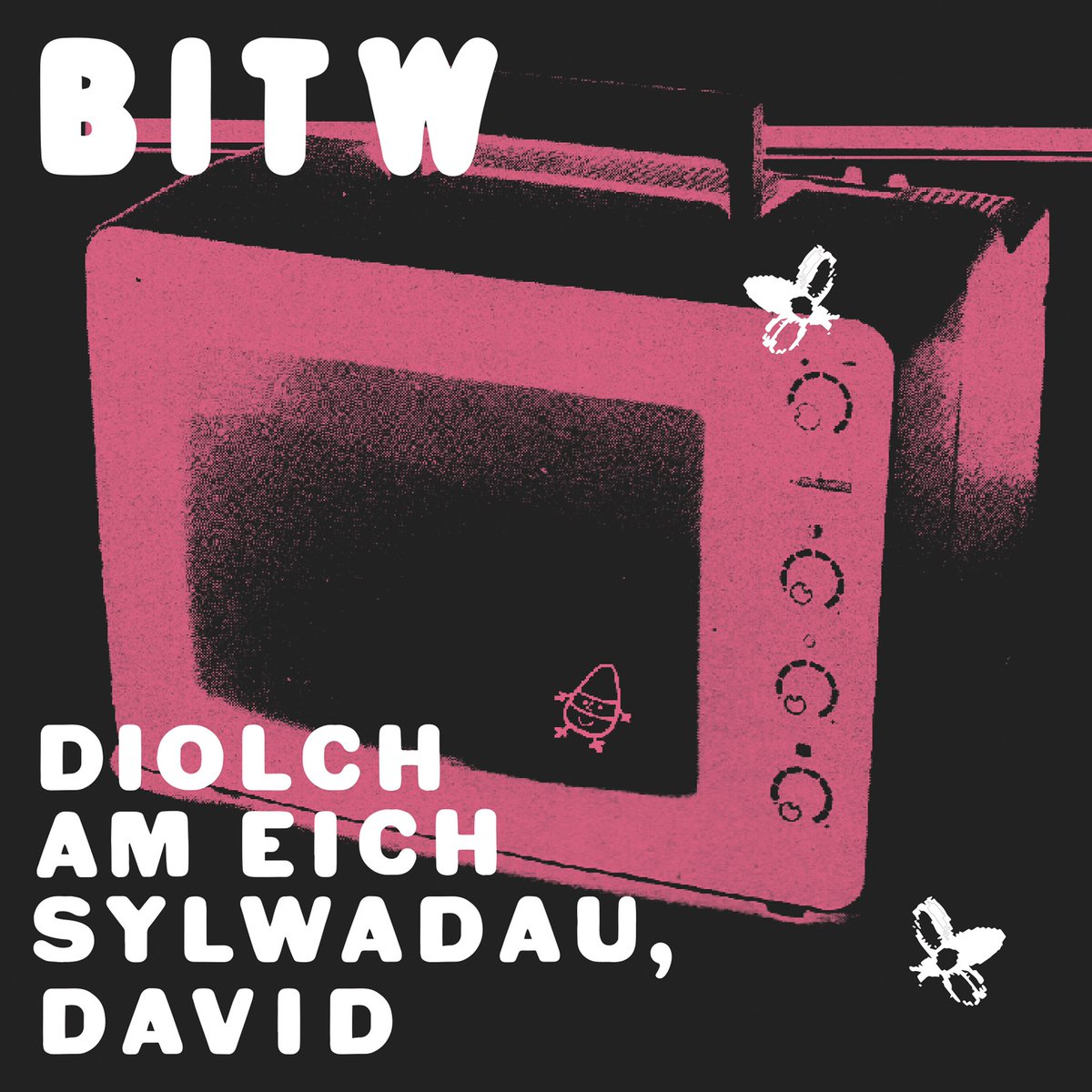 DIOLCH AM EICH SYLWADAU, DAVID – 15.3.2019