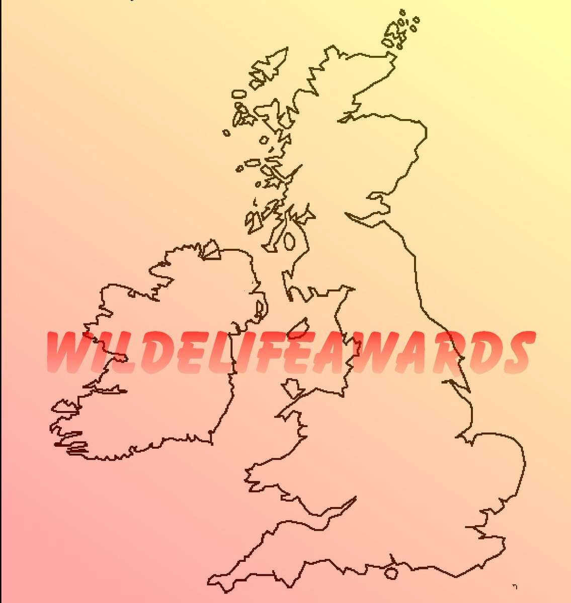 TheZineUK tweet media