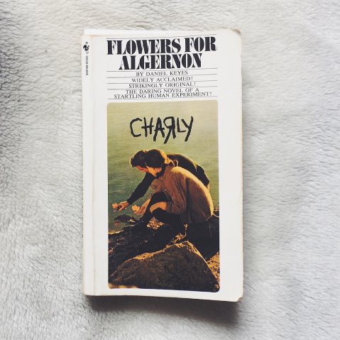Day 6 of books I 💙.⁣
⁣
No explanations. ⁣
No reviews. ⁣
Just the cover