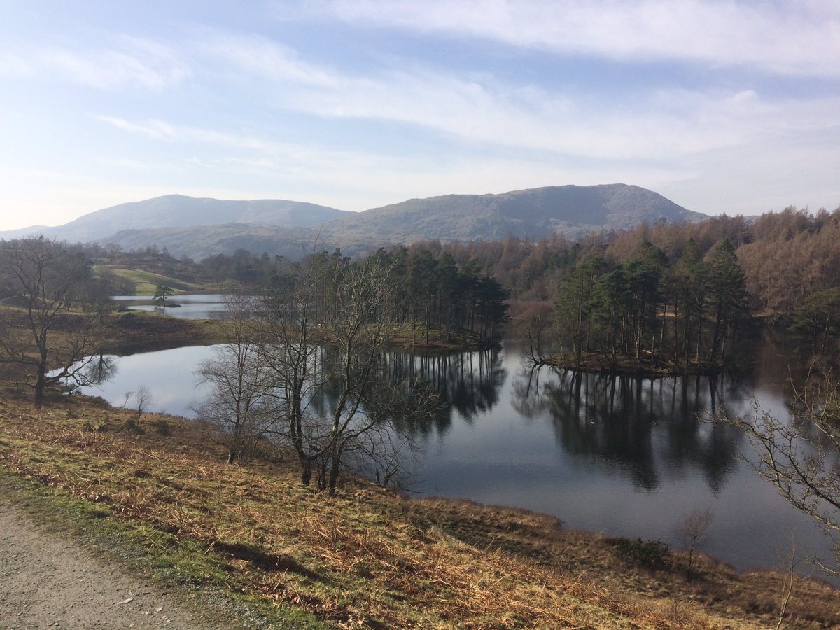 Chrisajackson75's tweet photo. Paradise @nationaltrust #tarnhow #lovethelakes https://t.co/GJDOhVqcg8