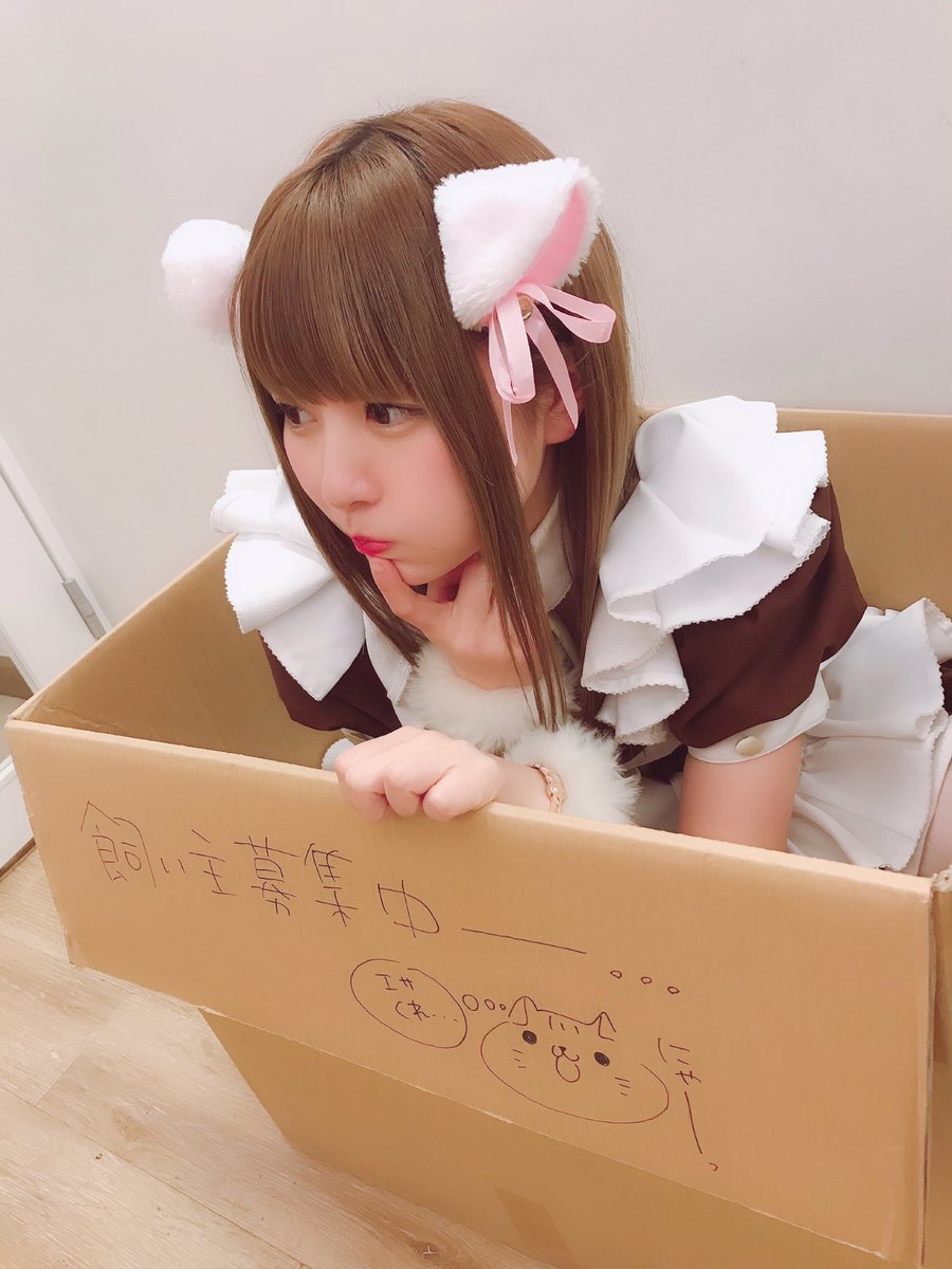 maid_Renachi's tweet photo. ねこみみつけてお給仕してました🐱💕
飼い主募集中、、、🍚
#2月22日 
#ネコの日 
#にゃんにゃんにゃん https://t.co/qvK95FBkM6