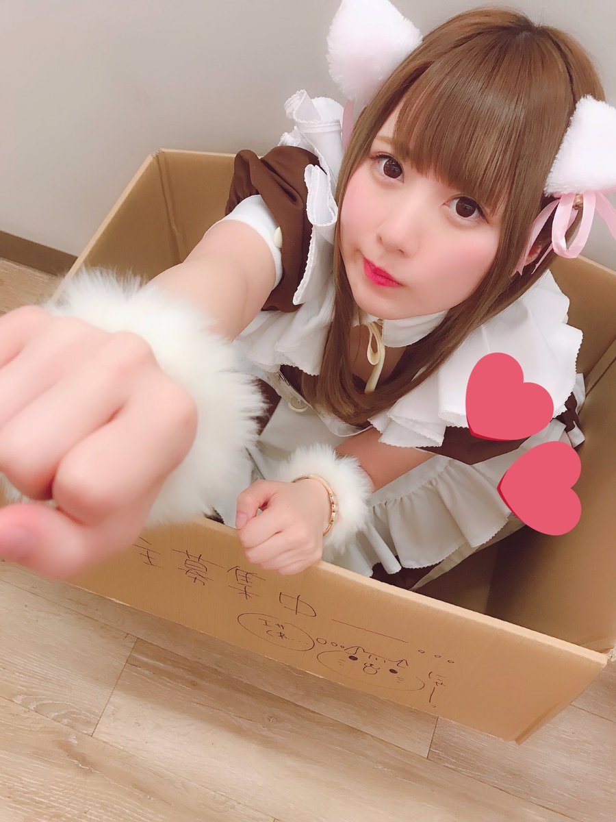 maid_Renachi's tweet photo. ねこみみつけてお給仕してました🐱💕
飼い主募集中、、、🍚
#2月22日 
#ネコの日 
#にゃんにゃんにゃん https://t.co/qvK95FBkM6