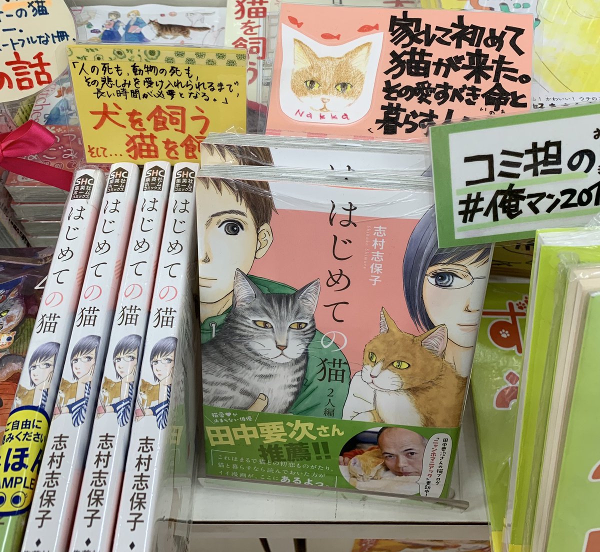 伊吉書院 類家店(@ikichi_ruike)/2019年02月 - Twilog