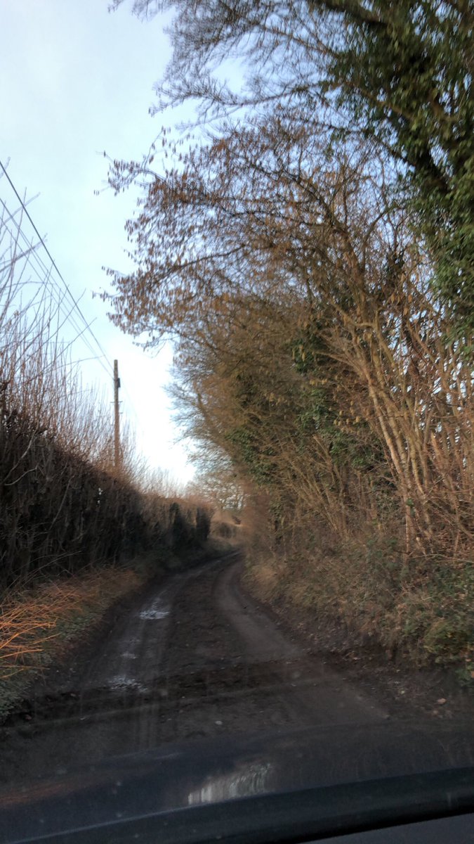BeckyHarstad's tweet photo. @arneharstad is driving in England.  I can only imagine this to be a brain teaser on steroids: Drive on the wrong side of winding two-lane roads that are actually one-lane dirt roads, w/manual trans as fast as possible. https://t.co/oqk8K0Nx3y