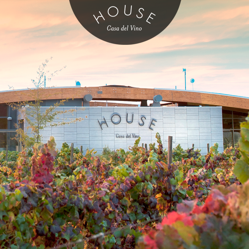 En la tienda de House Casa del Vino, encontrarás la mejor oferta de merchandising, productos gourmet, accesorios entre otros. Visítanos en Ruta 68, km. 61, Casablanca - Chile.