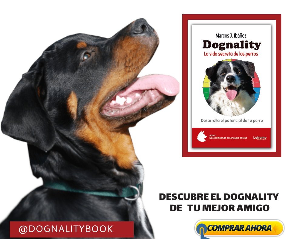 dognality tweet picture