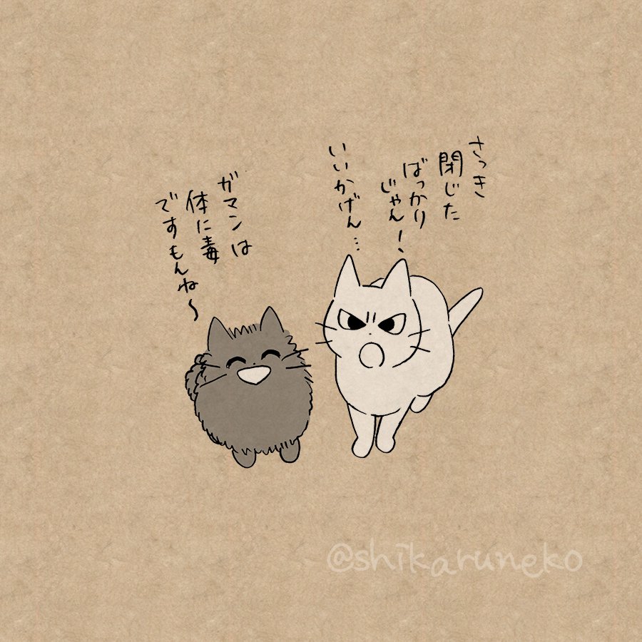 スマホを開いてばかりいる人と、しかるねこと、あまやかすねこ 