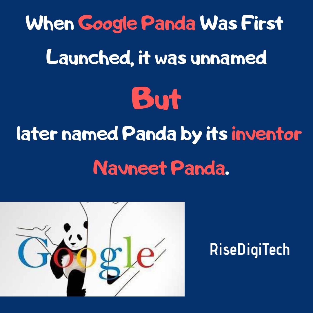 risedigitech's tweet image. The Man Behind Google Panda Algorithm - NAVNEET PANDA
#GooglePanda #RiseDigiTech #googlealgo #algorithm