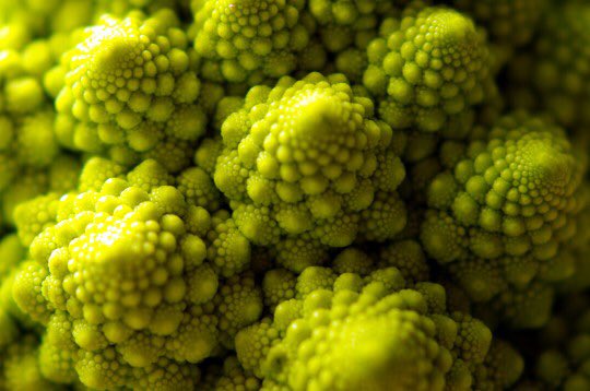 カリブロ بحث في تويتر