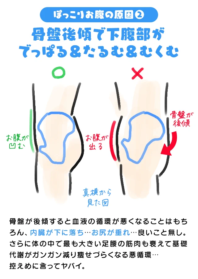アラサーになるに伴ってお腹がぽっこりしてくるのは内臓脂肪ではなかった・・・加齢に伴う筋力の低下なんて恐ろしい・・・