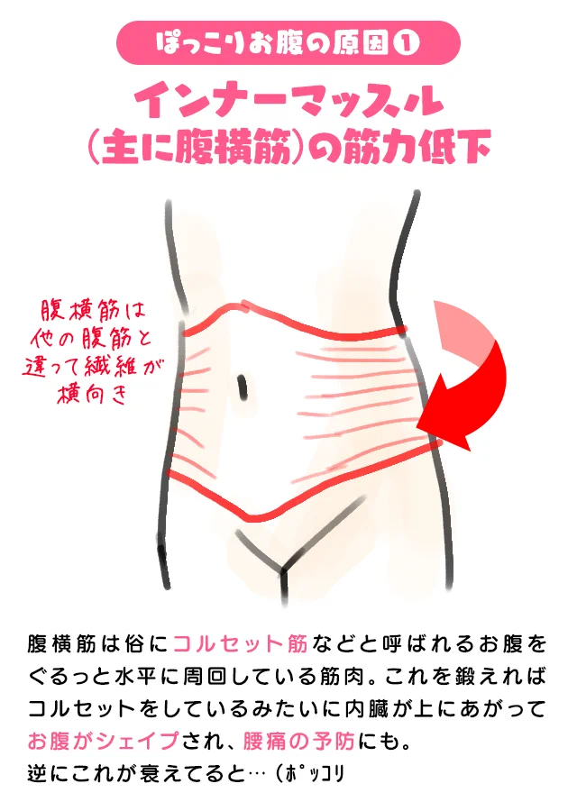 アラサーになるに伴ってお腹がぽっこりしてくるのは内臓脂肪ではなかった・・・加齢に伴う筋力の低下なんて恐ろしい・・・