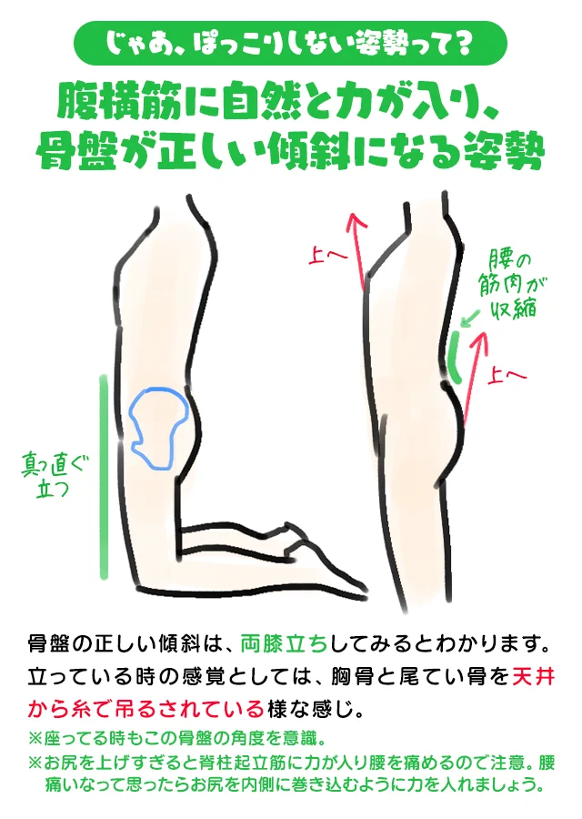 アラサーになるに伴ってお腹がぽっこりしてくるのは内臓脂肪ではなかった・・・加齢に伴う筋力の低下なんて恐ろしい・・・