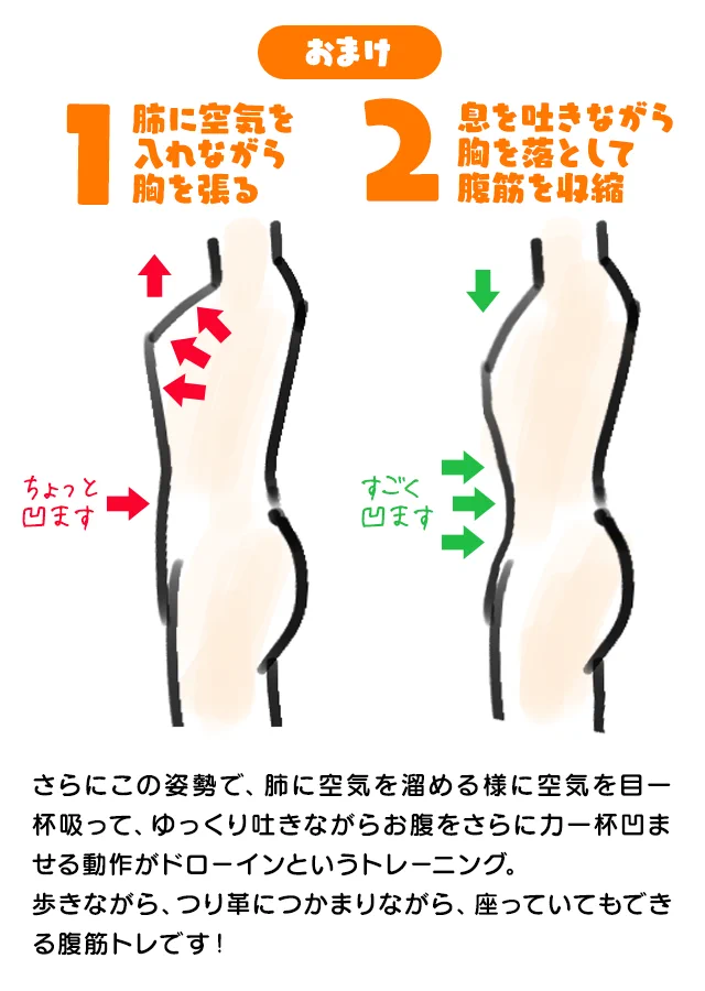 アラサーになるに伴ってお腹がぽっこりしてくるのは内臓脂肪ではなかった・・・加齢に伴う筋力の低下なんて恐ろしい・・・