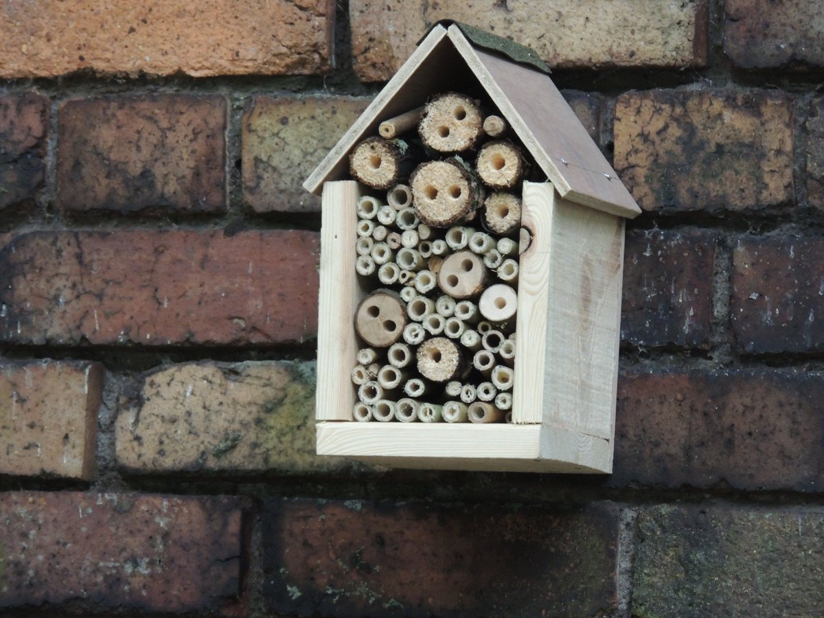 FriendsofFOPCC's tweet image. Preserving our heritage &amp;amp; protecting our wildlife, flora &amp;amp; fauna, in our ancient churchyard in Prescot, for the benefit of our community, thanks to #bagsofhelp funding tesco.com/bagsofhelp @Tesco_North @groundworkUK