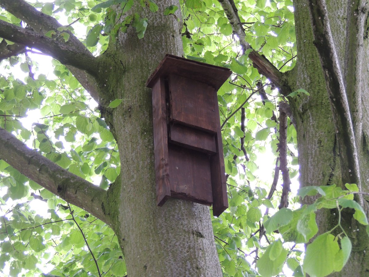 FriendsofFOPCC's tweet image. Preserving our heritage &amp;amp; protecting our wildlife, flora &amp;amp; fauna, in our ancient churchyard in Prescot, for the benefit of our community, thanks to #bagsofhelp funding tesco.com/bagsofhelp @Tesco_North @groundworkUK