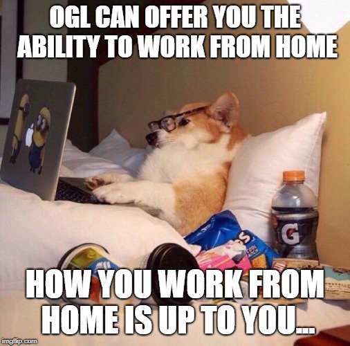 ogl.co.uk/office-365

#Office365 #CloudComputing #FridayFeeling #ITSolutions #OGL