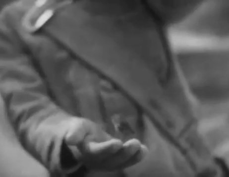 Stargazer_KEA's tweet image. Introspection Tower / Shimizu
Children of the Beehive / Shimizu
#清水宏 #selfreference #sidebyside