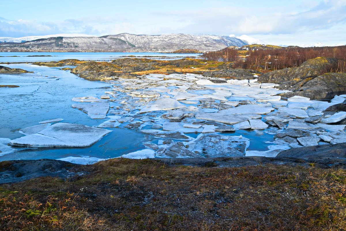 TursidenNO's tweet photo. Tverlandet Nature Reserve outside Bodø on a nice winter day in the middle of February #bodø #nature #hiking #norway https://t.co/mU9NzTjo0l