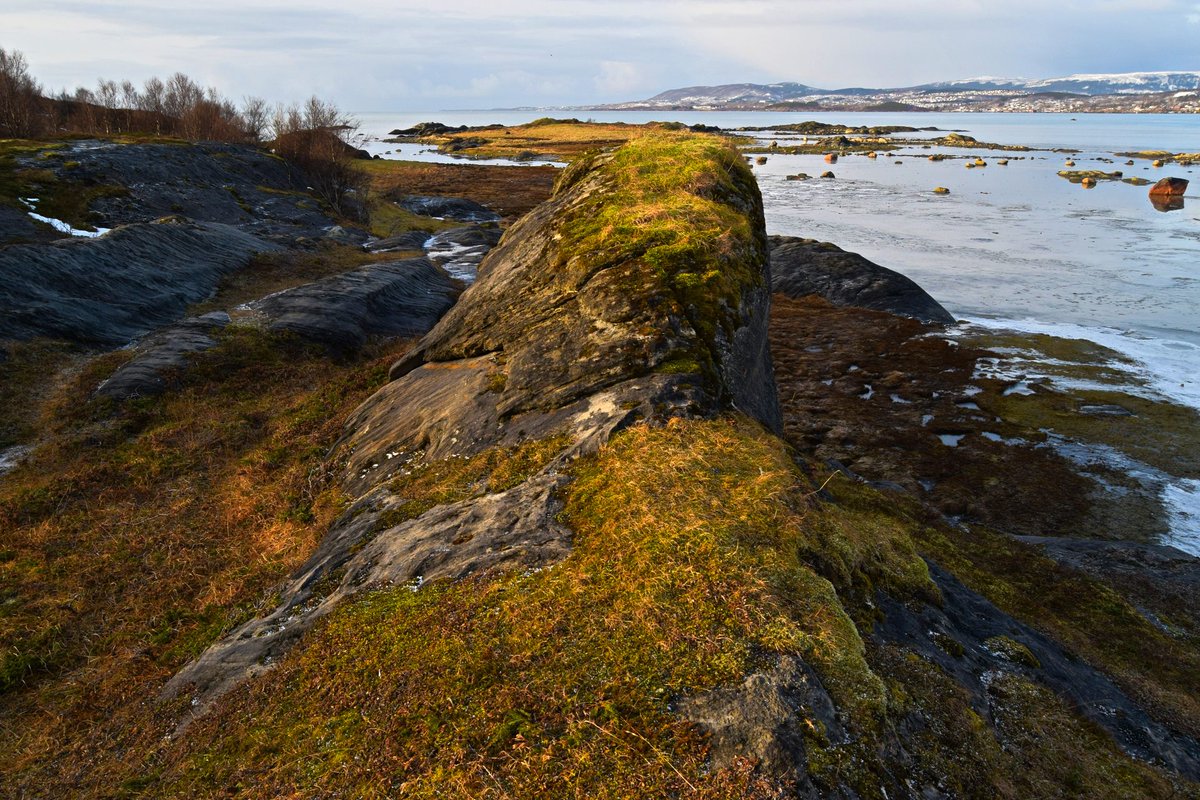 TursidenNO's tweet photo. Tverlandet Nature Reserve outside Bodø on a nice winter day in the middle of February #bodø #nature #hiking #norway https://t.co/mU9NzTjo0l