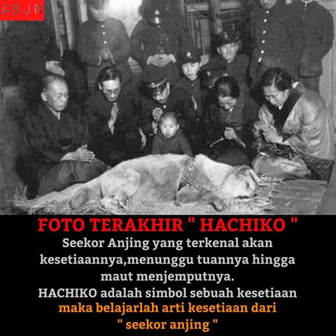 Joko Sulistyo Jokosul15300915 Twitter