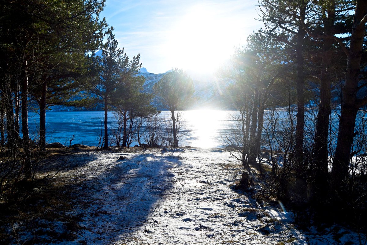 TursidenNO's tweet photo. Winter landscape from Mørkvedbukta and Åseli in Bodø municipality in Northern Norway, on a nice sunny winter day in February #bodø #norway #nature #hiking https://t.co/Y8xUQoCGYX
