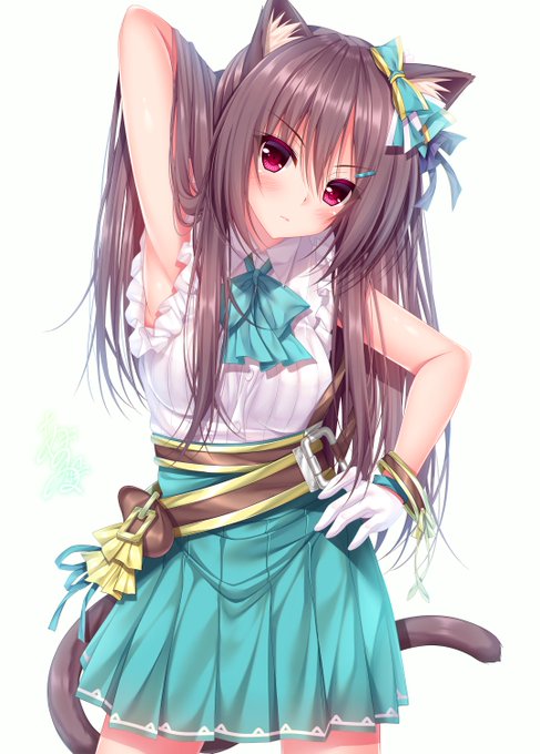 『ドーベルニャン』 #ネコの日 #ねこの日 