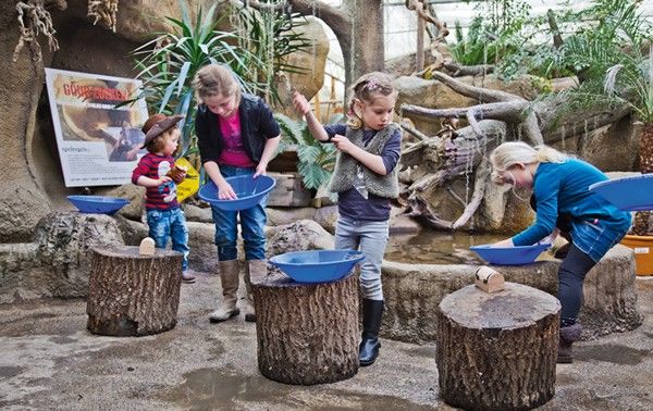 ☆ T I P ☆ 
Oké, het is niet in de regio Haarlem, maar deze is TE LEUK om niet te vermelden. Wij zijn in deze vakantie namelijk op bezoek geweest bij @Avonturia De Vogelkelder in Den Haag! We hebben daar zeker 3 uur lang ontdekt, beleeft en bewonderd!
buff.ly/2Vjv2nN